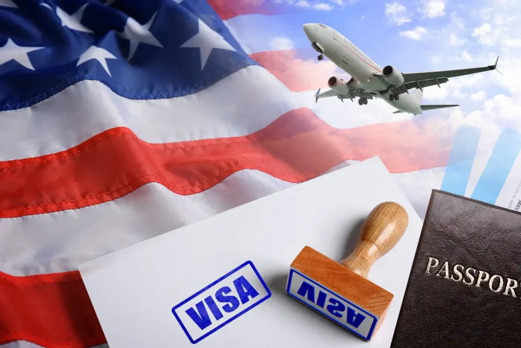 usa visa consultant